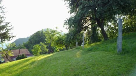 Flying-over-fresh-mowed-lawn-towards-man-lawn-mowing-green-meadow-between-fruit-trees