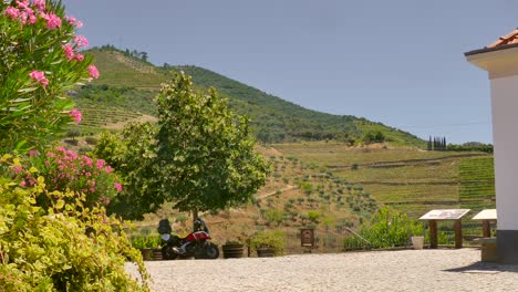 Aufnahme-Des-Weinbergs-Quinta-Do-Tedo-Mit-Fluss,-Der-Durch-Das-Tal-In-Der-Weinregion-Douro,-Porto,-Portugal,-An-Einem-Sonnigen-Tag-Fließt