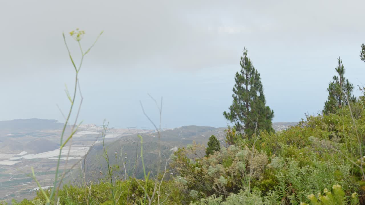 mirando sobre la tierra desde las montañas con árboles y arbustos, estático de mano