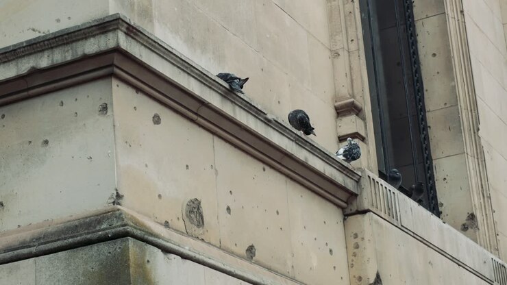 Piccioni che riposano su una sporgenza di un edificio a Londra