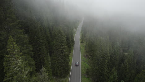 eerie mountain road through dense alpine forest covered in mist