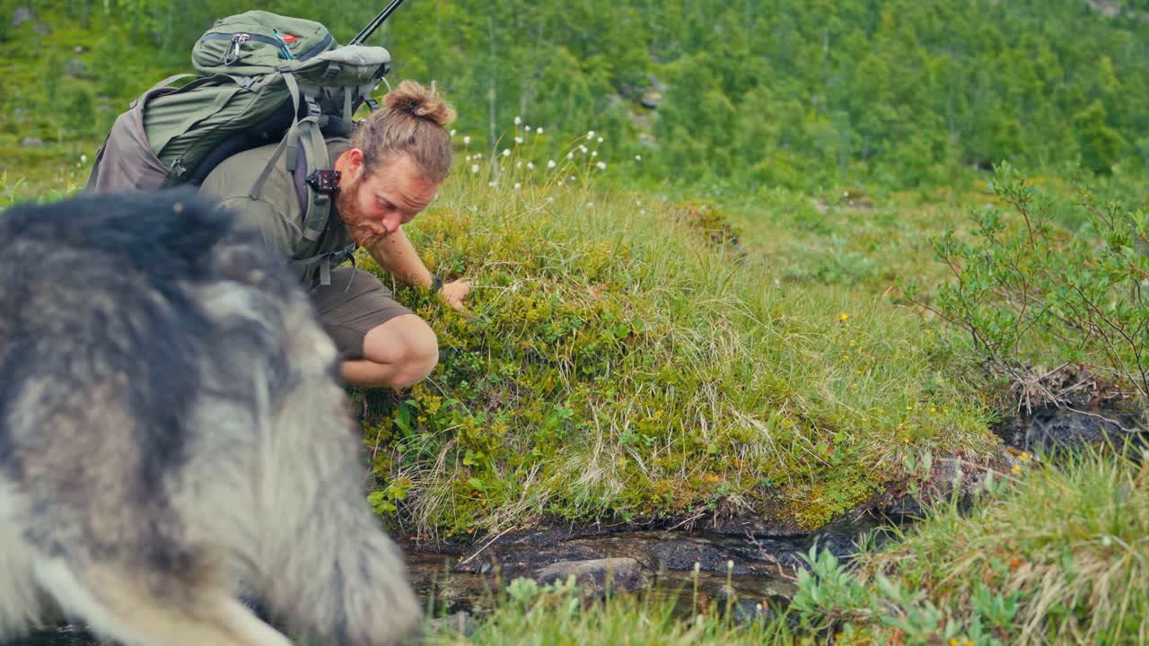 A Man and His Dog Pause by a Stream to Drink Fresh Water in Sør Tverrfjord, Loppa Municipality, Finnmark, Norway - Medium Shot