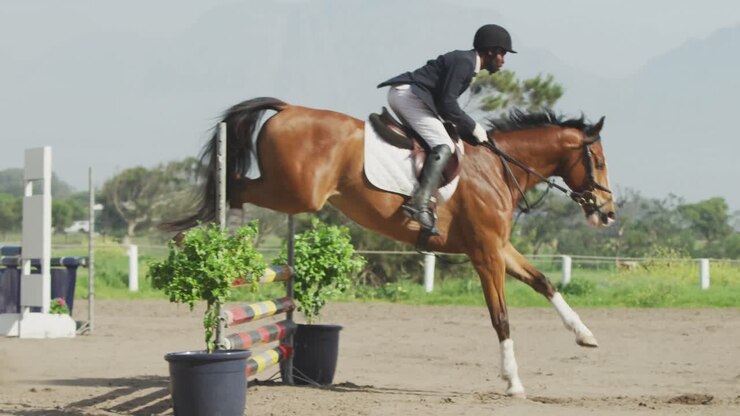 Uomo afroamericano che salta un ostacolo con il suo cavallo da dressage