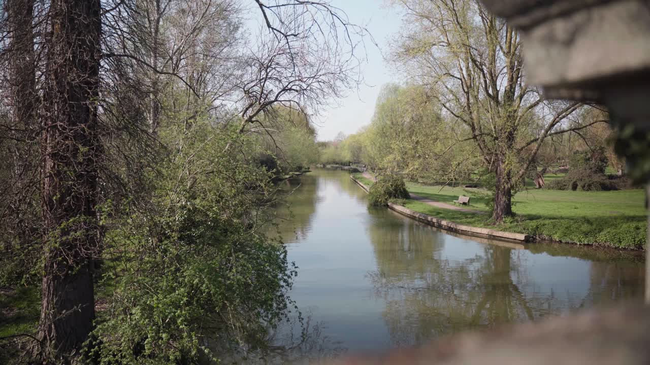 A quiet park scene with a bench facing a calm river, framed by trees and soft greenery