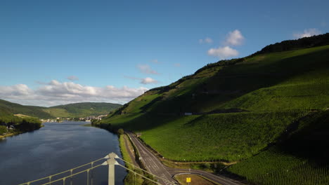 sideways flight over lake moselle in front of bridge and vineyard