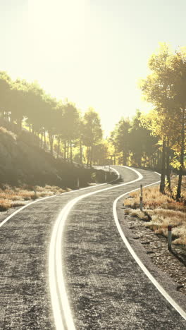 winding road through a forest in autumn