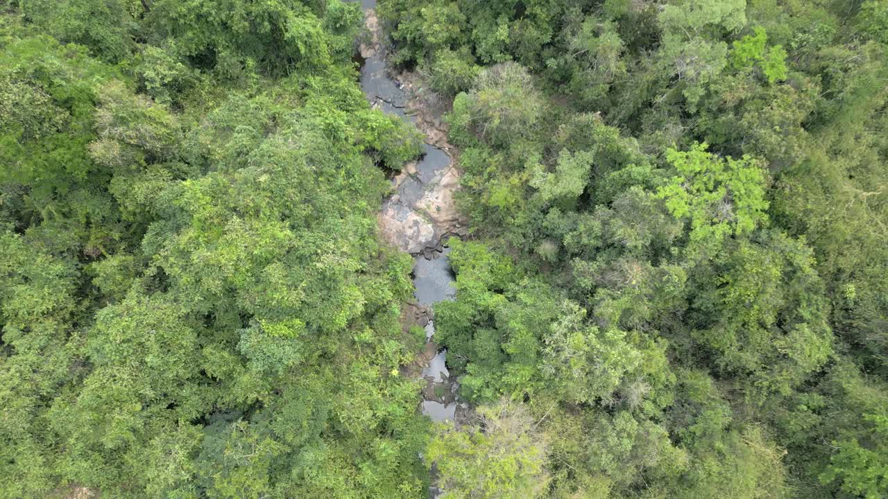 Descending from the top of the canopy down toward the river