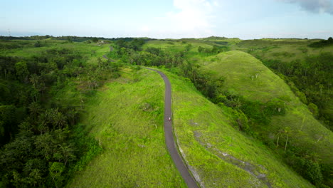 transporte balinés, paisaje verde, paraíso, ubicación tropical, vuelo aéreo