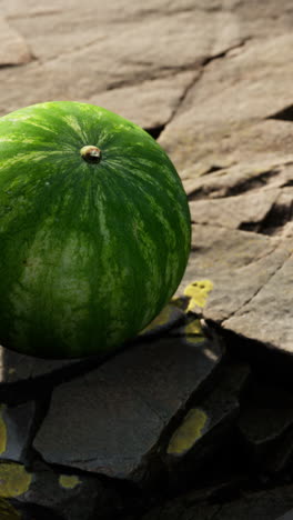 a whole watermelon on a stone