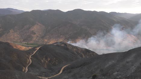 humo de la vegetación quemada en incendios forestales