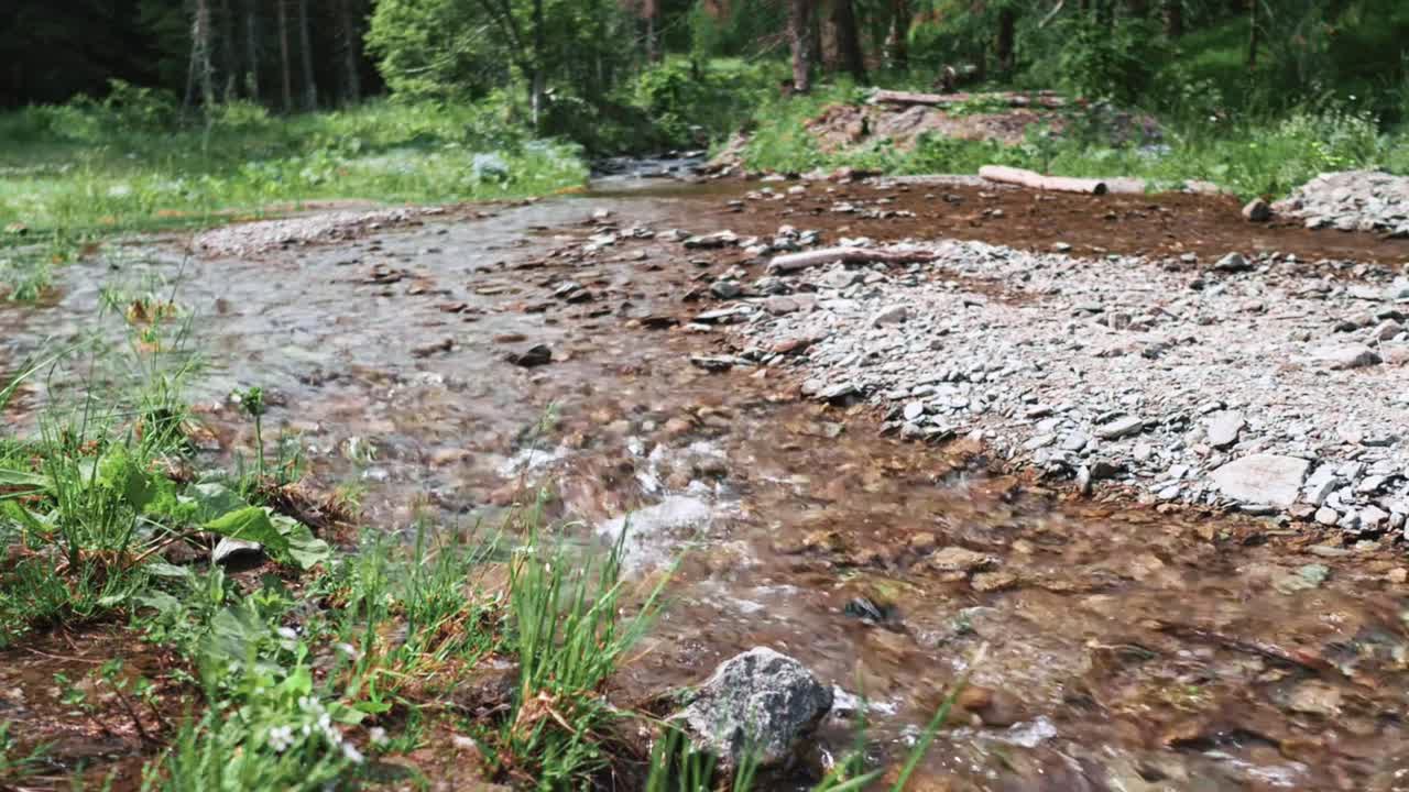 Kayalıklar ve ormanlık araziden geçen bir dağ deresi.