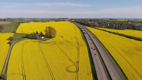 Antena-De-La-Autopista-E6-Y-Campo-De-Flores-De-Canola-En-Plena-Floración