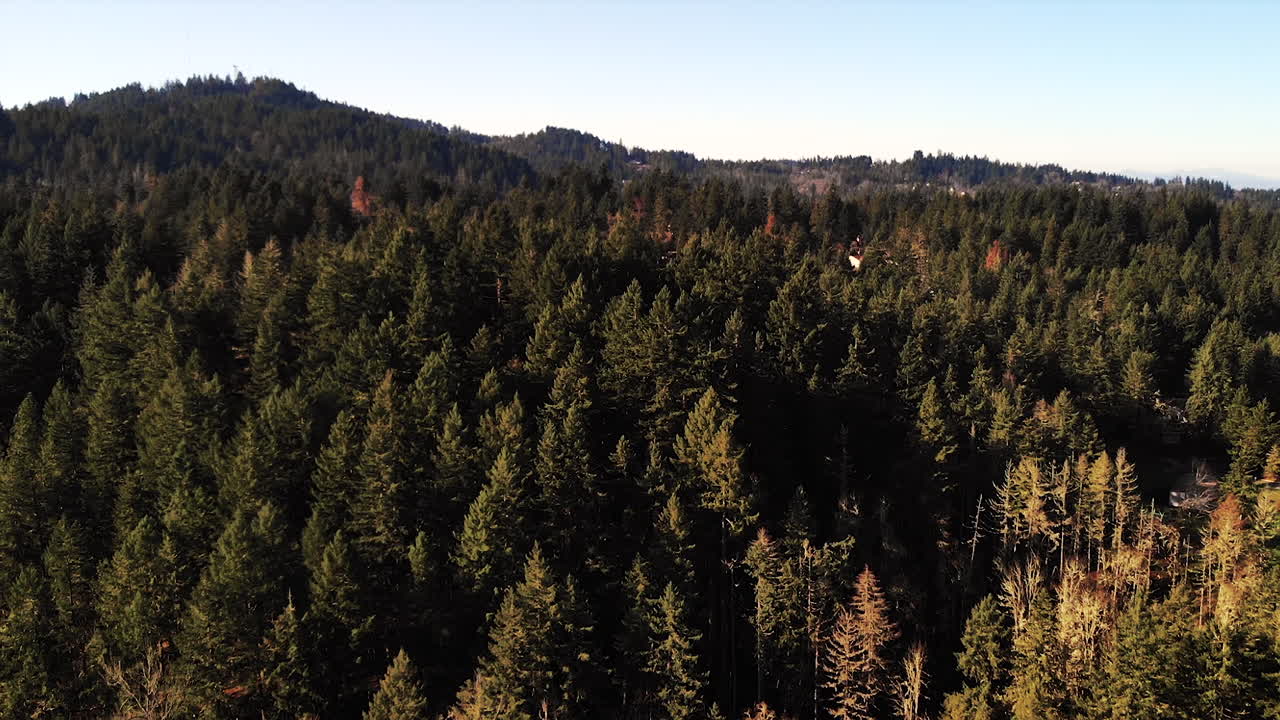 Aerial capture of a sunny, cold day in Oregon