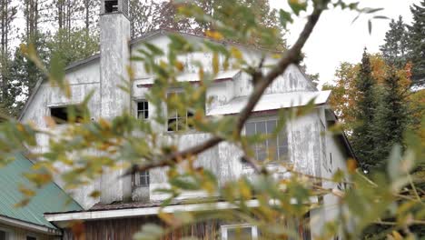 abandoned old barn in montpelier quebec with tree leaves in the foreground