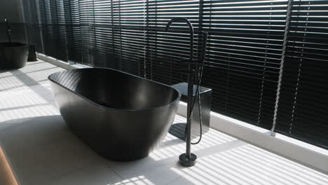 modern black bathtub in a stylish bathroom