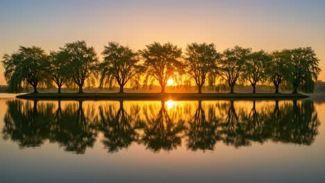 a tranquil reflection: capturing the beauty of sunrise over a serene lake surrounded by majestic trees and warm golden light
