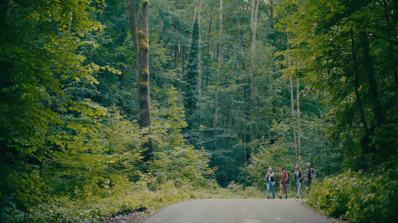 Friends Walking On Footpath Amidst Trees In Forest