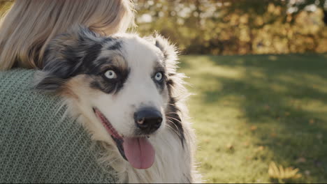 Woman-gently-embraces-his-faithful-dog-in-the-rays-of-the-setting-sun.-Attachment-and-Favorite-Pet-Concept