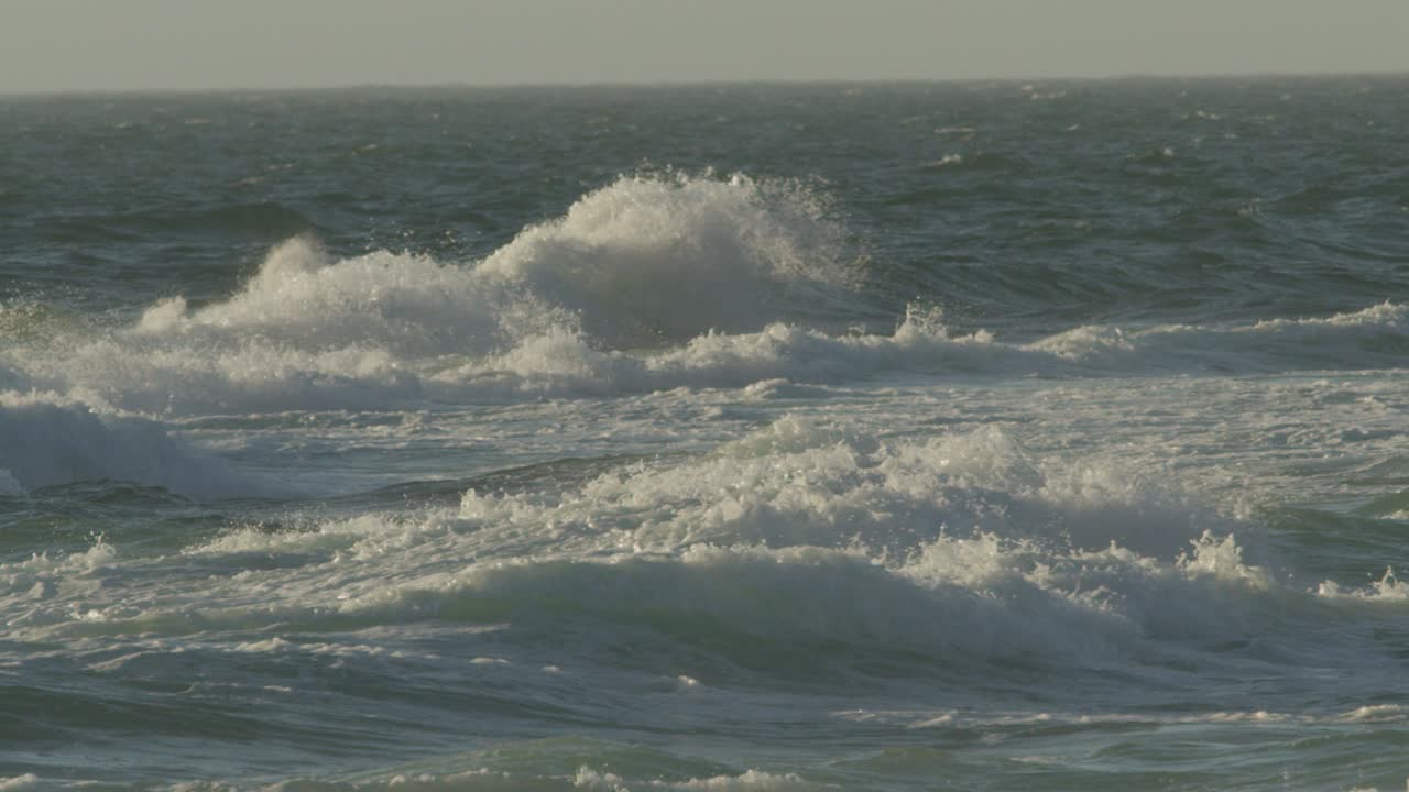 큰 파도와 함께 폭풍우의 바다 물을 가로질러 날아가는 새의 광범위한