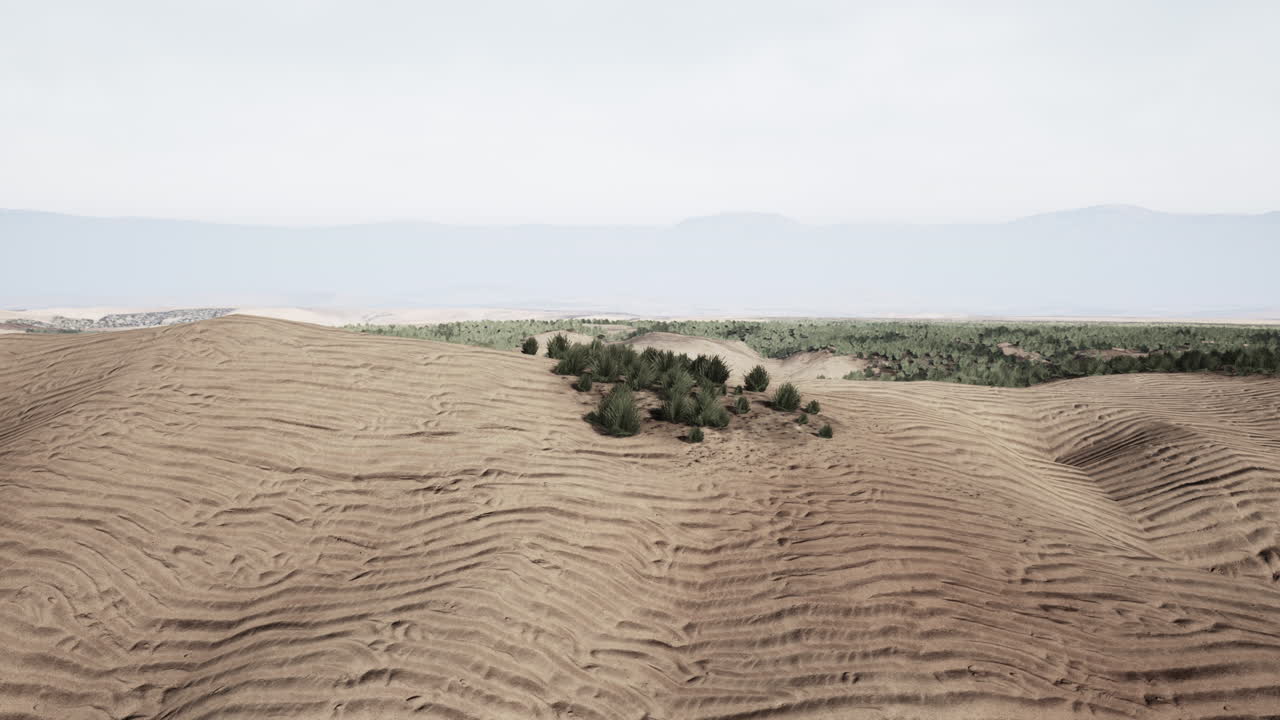 paisaje desértico con pequeños árboles