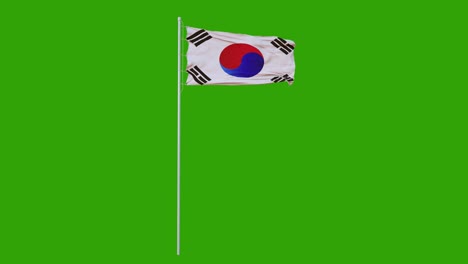 한국의 발이 바람에 날아다니며 녹색 스크린, 루프 가능한 애니메이션, 4k