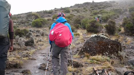 back view tourists with backpacks walk through the wasteland between bushes and stones