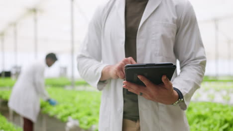 Scientist,-tablet-and-hands-in-greenhouse