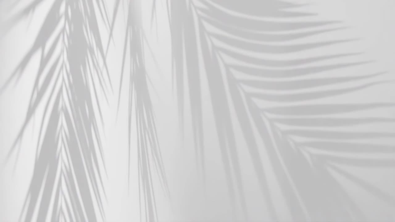 Animated Tropical Palm leaf shadow on white