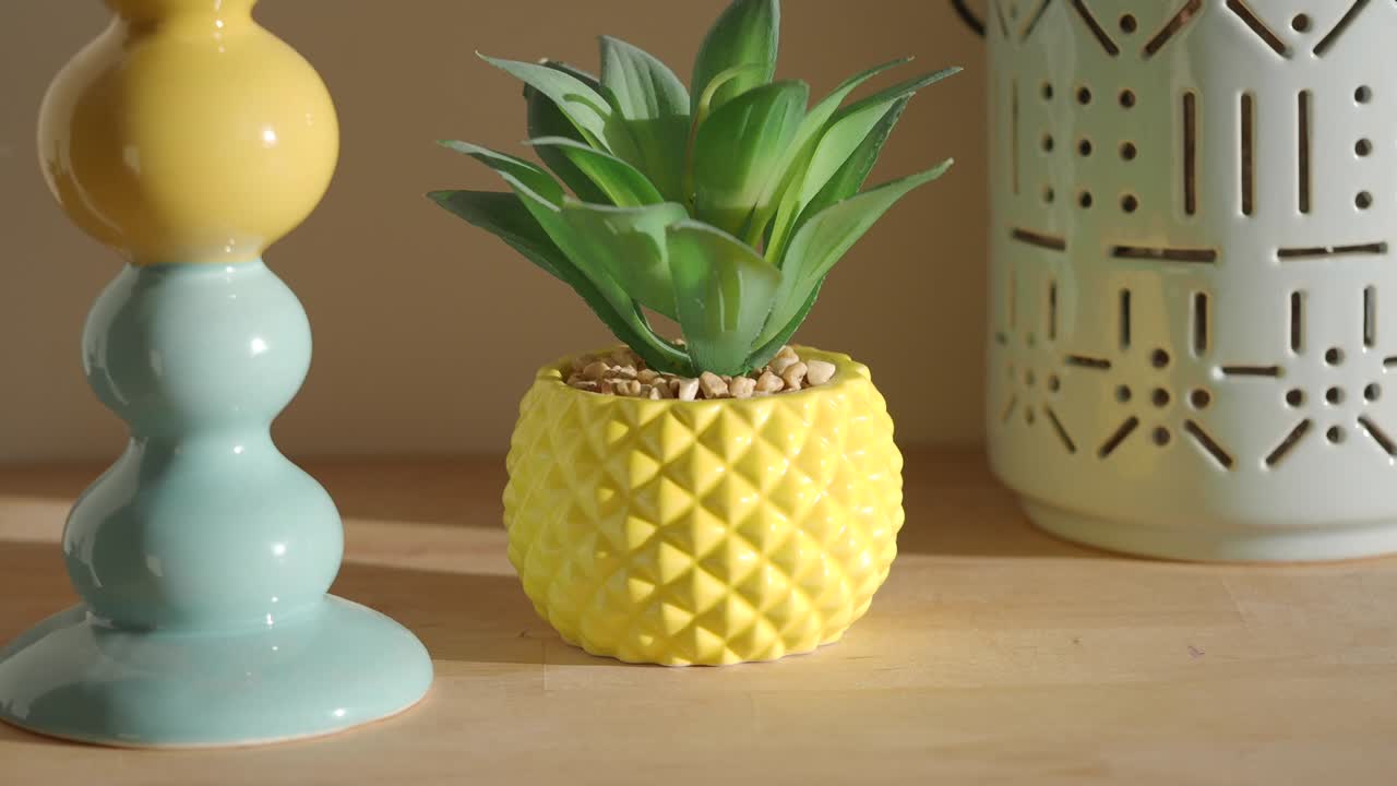 Stylish Succulent in Pineapple Planter with Colorful Decor