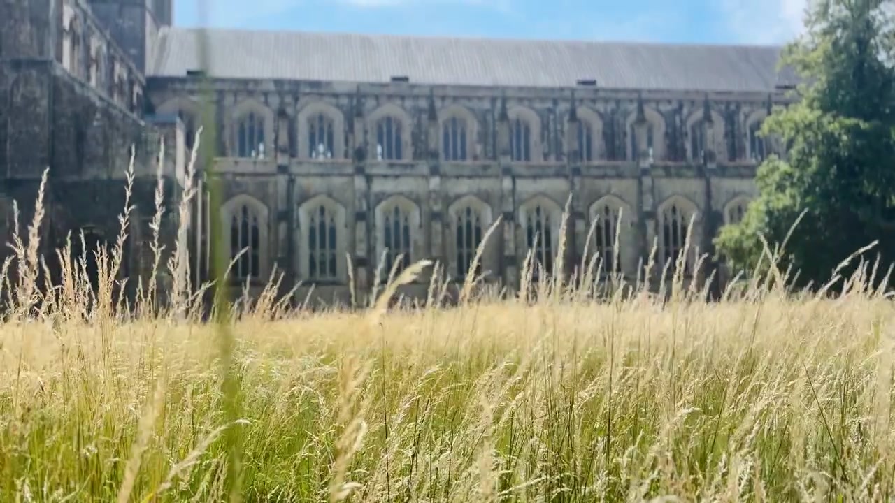 Hierba alta meciéndose frente a la Catedral de Winchester, con arquitectura gótica de piedra, ventanas arqueadas, fachada histórica, prado y brisa de verano en Winchester