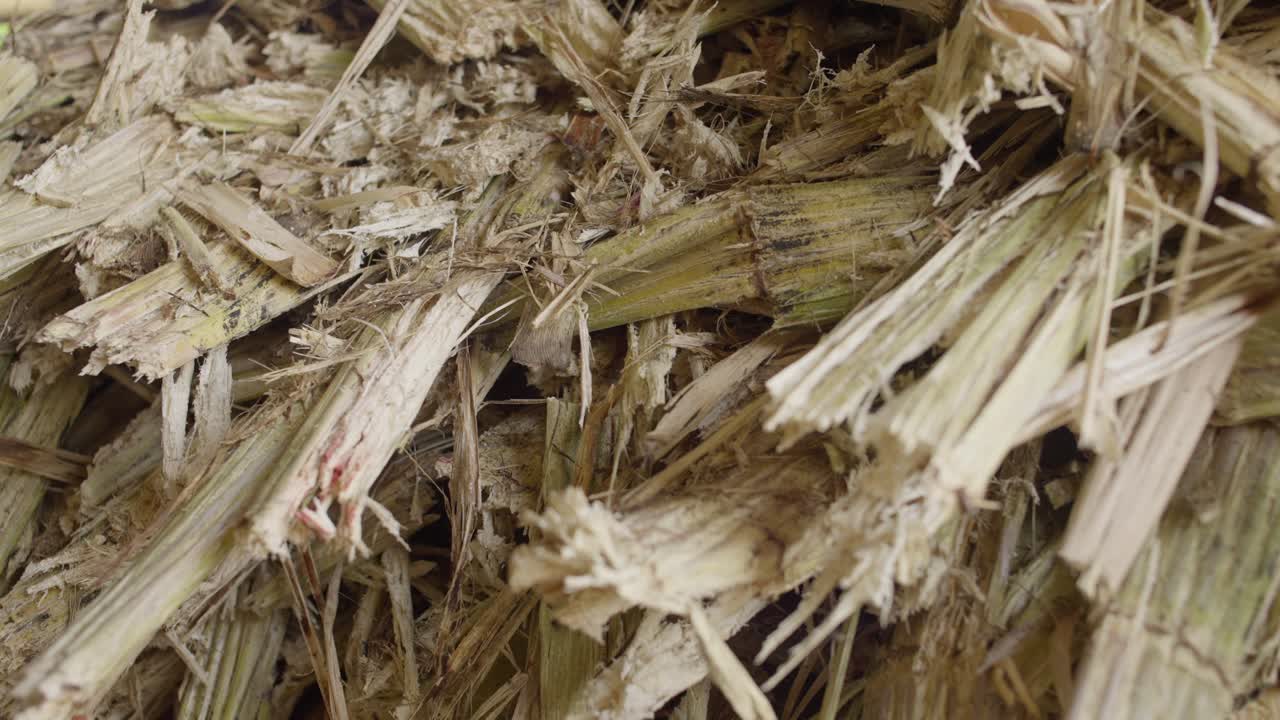 SLOW MOTION TRACKING SHOT OF SUGAR CANE AFTER BEING CRUSHED ON A MILL
