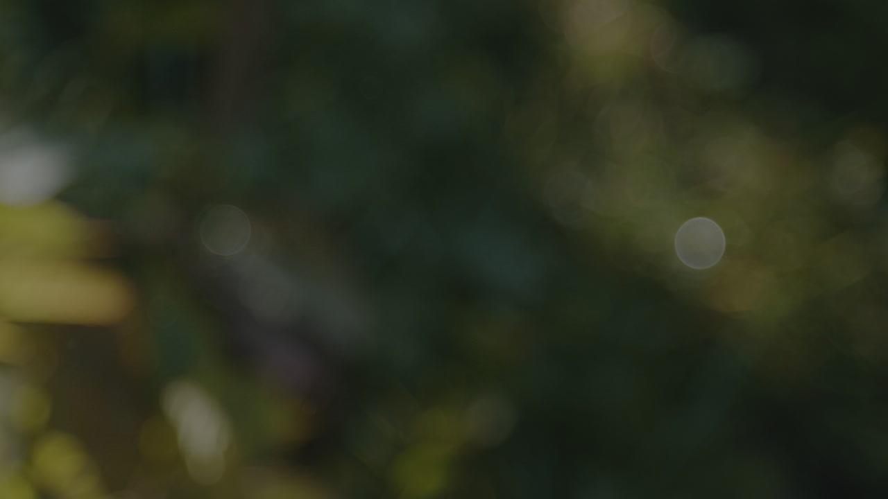 Chopping wooden log with an axe