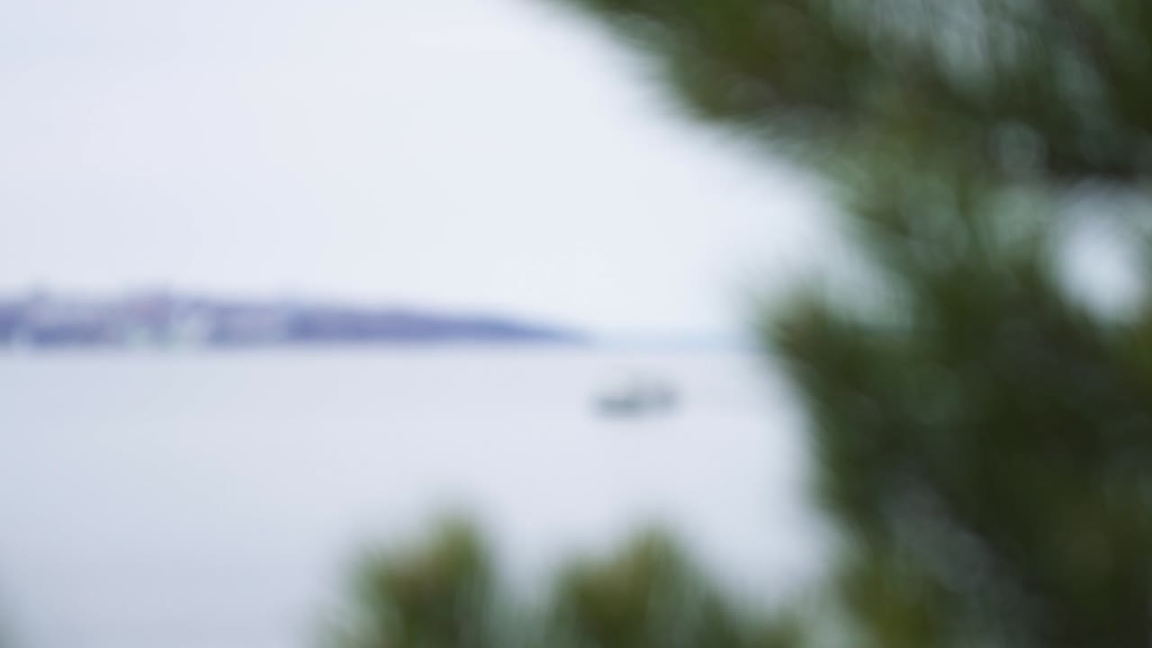 도시 스카이라인과 함께 강에 페리