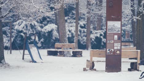 First-snow-in-Hvezda-Park,-Prague