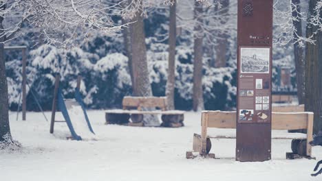 primera nevada en el parque hvezda, praga