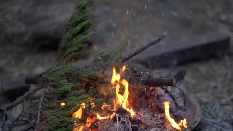 green pine leaf added to fire pit by hand in outdoor setting, filmed in handheld style