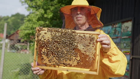 portrait of a beekeeper holding a hive frame with honeycomb and bees