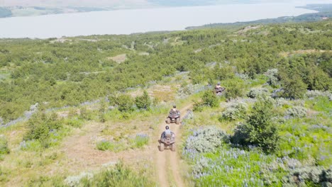 Tourist-group-on-quad-bikes-riding-through-natural-wilderness-of-Iceland,-aerial