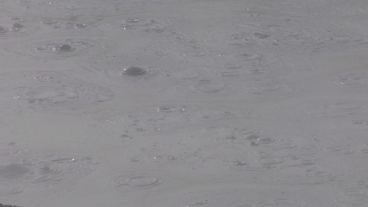 un pozo de barro burbujea en el parque nacional de yellowstone