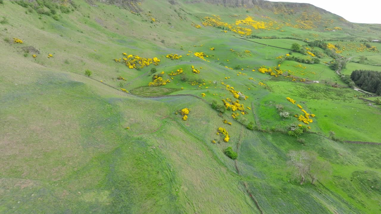 북아일랜드의 앤트림 해안 도로에 있는 살라그 브레이스
