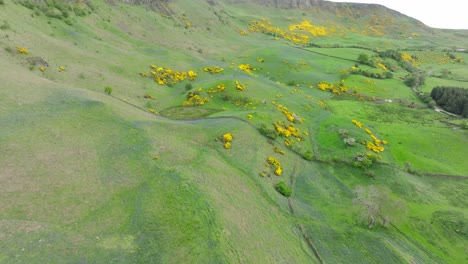 Sallagh-Brae&#39;s-En-La-Carretera-De-La-Costa-De-Antrim-En-Irlanda-Del-Norte