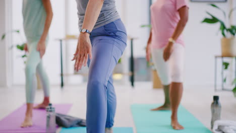 Reife-Frauen-Machen-Yoga-In-Kriegerpose