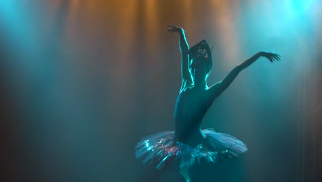 silhouette of a graceful ballerina in a chic image 2023 11 27 05 16 22 utc (1).mov | action, alone, art, ballerina