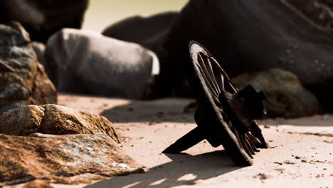 old wooden cart wheel at sand beach