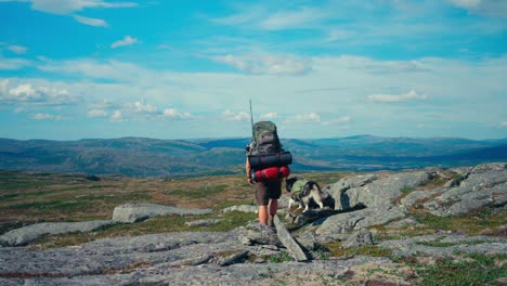 imefjelsvatnet to gurben in indre fosen, trøndelag, norway - a hiker and his dog making their way across the rugged terrain - static shot