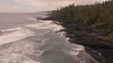 drone shot vancouver island west coast shoreline at port renfrew