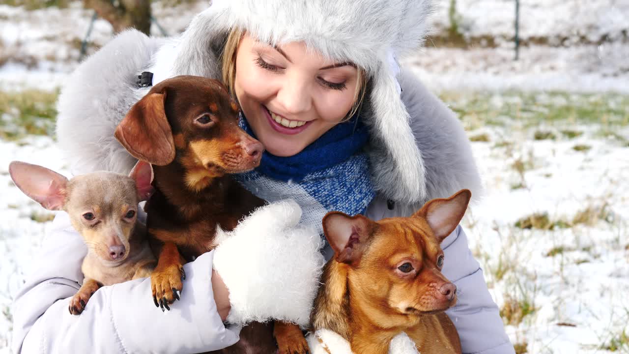 mujer jugando con sus perros pequeños fuera del invierno