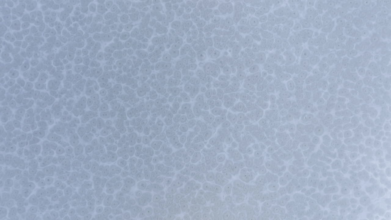 un lago sloan congelado durante una tormenta de invierno revelado por un disparo aéreo de un dron