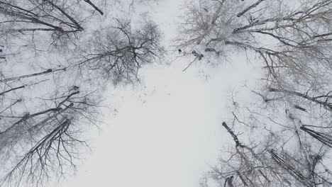 aéreo: hombre y mujer corriendo por el bosque en invierno