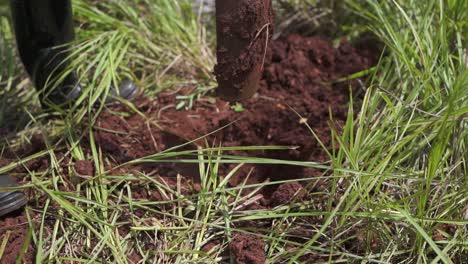 Preparing-the-soil-for-planting-amidst-lively-green-grass,-creating-a-new-garden-spot-during-a-sunny,-warm-summer-afternoon